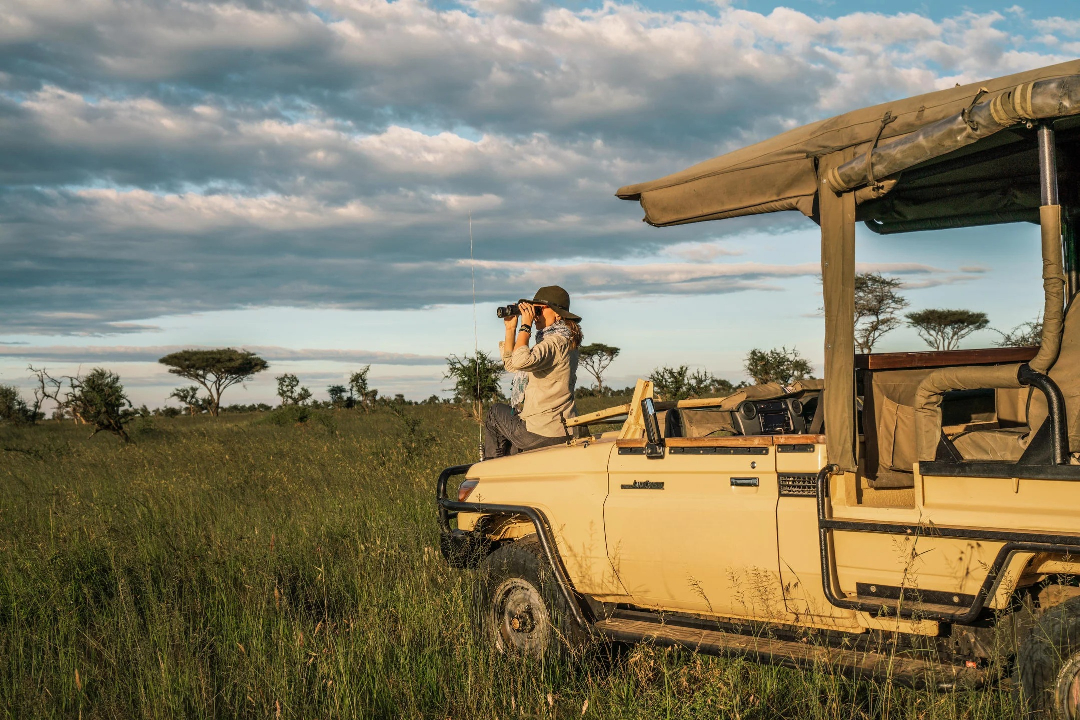 Safari vehicle in savannah